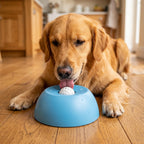 Slurpaw RollBowl